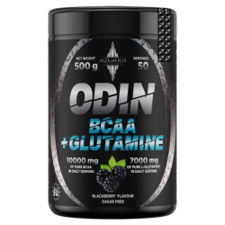 Azgard Odin BCAA + Glutamine 500 g