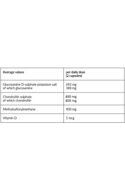 4+ Nutrition Joint+ 90 kaps.